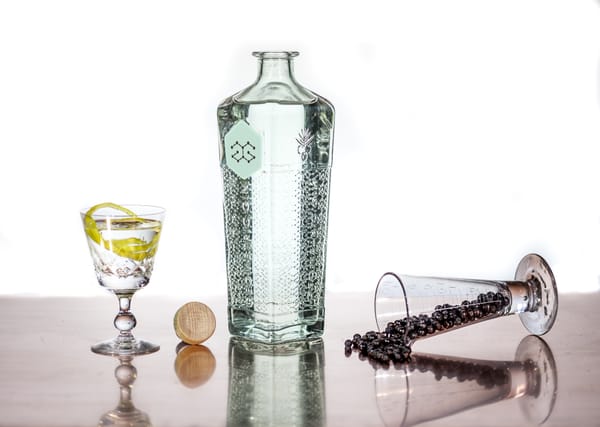 Gin Diaries No. 3